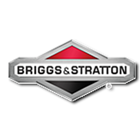 Briggs & Stratton
